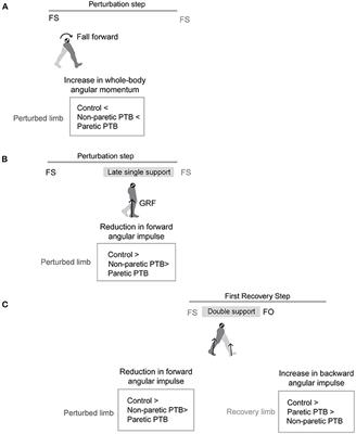 Impairments in the mechanical effectiveness of reactive balance control strategies during walking in people post-stroke